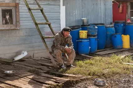 Собачий притулок, його мешканці та - догхантери (притулок) Собачий притулок, його мешканці та - догхантери
