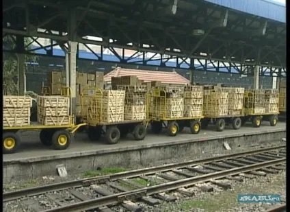 Собака і кішка друг людини - але не їжа! (Один) Собака і кішка друг людини - але не їжа!