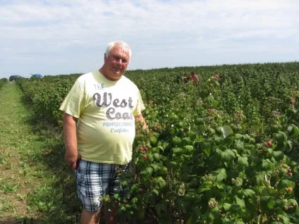 Спочатку все доводилося робити своїми руками, розплідник плодово-ягідних культур СФГ «алекс і н» (суниця садова) Спочатку все доводилося робити своїми руками, розплідник плодово-ягідних культур СФГ «алекс і н»