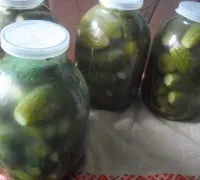Солоні огірки з сухою гірчицею - прості рецепти (солоні огірки сухий) Солоні огірки з сухою гірчицею - прості рецепти