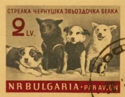 Собаки на поштових марках