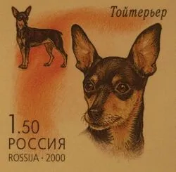 Собаки на поштових марках