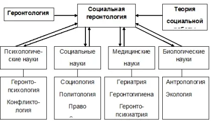 Соціальна геронтологія як наука - я студент! () Соціальна геронтологія як наука - я студент!