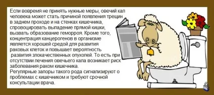 Овечий кал у дітей та дорослих - лікування запорів (кал) Овечий кал у дітей та дорослих - лікування запорів