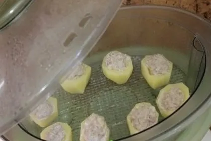 Пароварка своїми руками, самогонний апарат з пароварки (своїми) Пароварка своїми руками, самогонний апарат з пароварки