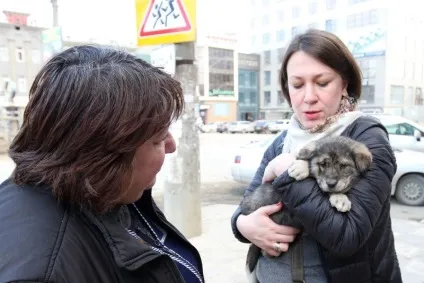 Полювання вбивати