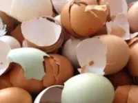 Сорбенти список препаратів для лікування алергічних реакцій (сорбенти список) Сорбенти список препаратів для лікування алергічних реакцій