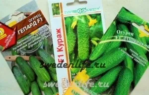 Сорти помідор для півночі, порівняння декількох сортів (сортів) Сорти помідор для півночі, порівняння декількох сортів