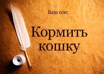 Сонник годувати кота м'ясом уві сні бачити до чого сниться (кота) Сонник годувати кота м'ясом уві сні бачити до чого сниться