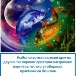 Сумісність риб і барана, ezoterizmo - містична енциклопедія (барана) Сумісність риб і барана, ezoterizmo - містична енциклопедія