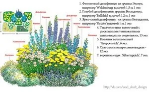 Створення клумби з багаторічників своїми руками, основні принципи та схеми (своїми) Створення клумби з багаторічників своїми руками, основні принципи та схеми