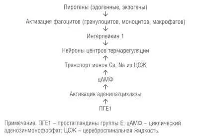 Сучасна тактика купірування лихоманки у дітей - медична енциклопедія (підвищення температури тіла) Сучасна тактика купірування лихоманки у дітей - медична енциклопедія