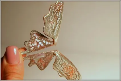 Створюємо чарівні крила - ярмарок майстрів - ручна робота, handmade (полімерна глина фімо (fimo)) Створюємо чарівні крила - ярмарок майстрів - ручна робота, handmade