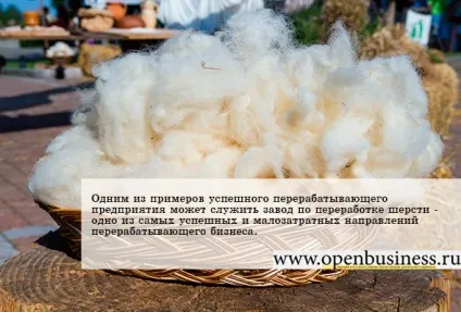 Створення бізнесу з переробки вовни (бізнесу) Створення бізнесу з переробки вовни