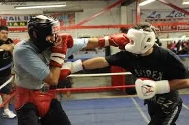Спаринг, kickboxing life