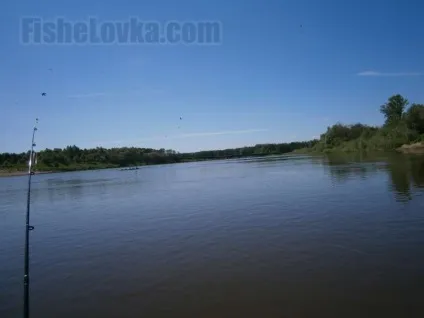 Спінінг для троллінгу як вибрати оптимальну модель