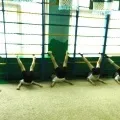 Спортивні вправи взимку «катання на санках» (спортивні) Спортивні вправи взимку «катання на санках»