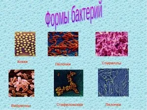 Засіб фурацилін при молочниці у жінок (захворюваннях статевої сфери) Засіб фурацилін при молочниці у жінок