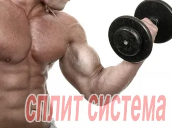 Спліт система в бодібілдингу