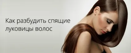 Сплячі цибулини волосся на голові - як розбудити і активувати (активувати) Сплячі цибулини волосся на голові - як розбудити і активувати