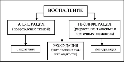 Стадії ерозії шийки матки (матки) Стадії ерозії шийки матки
