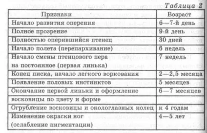 Способи визначити стать і вік голубів (голубів) Способи визначити стать і вік голубів