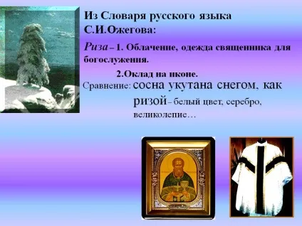 Порівняння сосна закутана снігом, як ризою - білий колір, срібло, презентація 256017-9