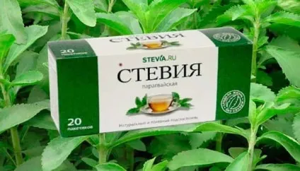 Стевія - користь і шкода для схуднення, при вагітності (вагітності) Стевія - користь і шкода для схуднення, при вагітності
