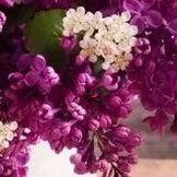 Вірші про дитинство в картинках