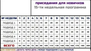 Чи варто ходити в фітнес клуб кожен день (кожен) Чи варто ходити в фітнес клуб кожен день