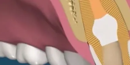 Стоматологія lege artiss в Константіновкае (lege) Стоматологія lege artiss в Константіновкае