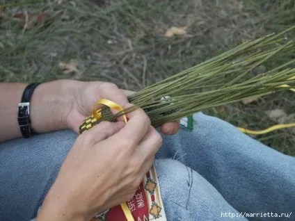 Пристрасті по лаванді