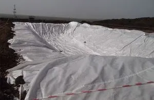 Будівництво шламових комор, geosm