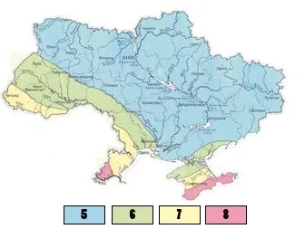 Будуємо будинок з черепашника (ракушняка)
