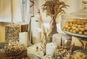 Весілля на базі відпочинку, провести весілля на турбазі Чернігів
