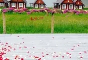Весілля на базі відпочинку, провести весілля на турбазі Чернігів