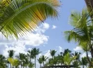 Весілля в домінікани - caribbean wedding