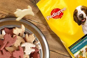 Сухий корм для собак педигри (pedigree) склад, гідності і ціна (pedigree) Сухий корм для собак педигри (pedigree) склад, гідності і ціна