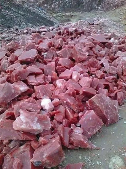Суперфото, які вас точно здивують (які) Суперфото, які вас точно здивують