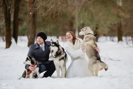 Весільні фото з тваринами, фото нареченого і нареченої з тваринами, оригінальні знімки молодят, (нареченої) Весільні фото з тваринами, фото нареченого і нареченої з тваринами, оригінальні знімки молодят,