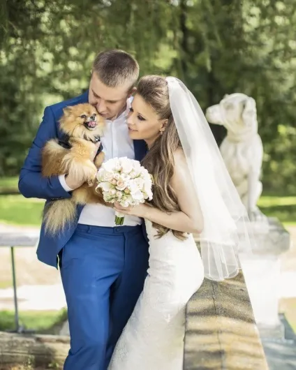 Весільні фото з тваринами, фото нареченого і нареченої з тваринами, оригінальні знімки молодят, (весільні фотосесії з тваринами.) Весільні фото з тваринами, фото нареченого і нареченої з тваринами, оригінальні знімки молодят,