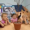 пасхальне гніздо