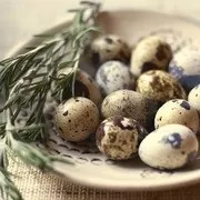 Перепелині яйця лікування рецептами на основі яєць (лікування) Перепелині яйця лікування рецептами на основі яєць