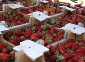 Перевезення ягід свіжих і заморожених по Москві і області, московська міська транспортна компанія (вантажоперевезення ягід) Перевезення ягід свіжих і заморожених по Москві і області, московська міська транспортна компанія