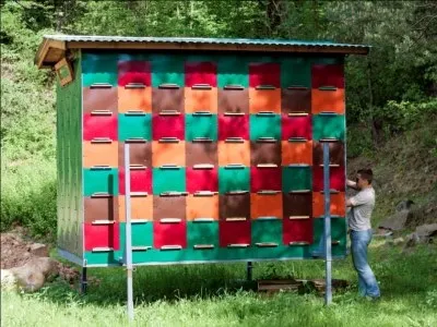 Павільйон для бджіл (пчелопавільон) своїми руками фото і відео (своїми) Павільйон для бджіл (пчелопавільон) своїми руками фото і відео