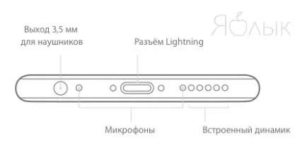 Перестав працювати один динамік в новому iphone, що робити, новини iphone, ipad і mac