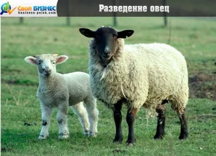 Друк на нігтях в домашніх умовах (нігтях) Друк на нігтях в домашніх умовах