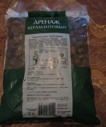 Пересадка кактуса важливі правила успішної пересадки в домашніх умовах (важливі) Пересадка кактуса важливі правила успішної пересадки в домашніх умовах
