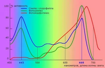 Світлодіодна фітолампи для рослин своїми руками (світлодіодна) Світлодіодна фітолампи для рослин своїми руками