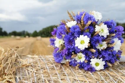 Весільний букет з калл для нареченої фото калл, ❤️❥ все для весілля (весільний букет з калл для нареченої фото) Весільний букет з калл для нареченої фото калл, ❤️❥ все для весілля